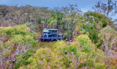 Lifestyle For Sale - NSW - Wollombi - 2325 - 'Pemmenunna'  (Image 2)