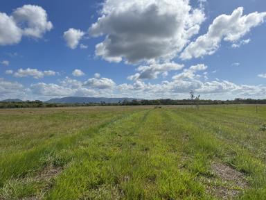 Lifestyle For Sale - QLD - Cooktown - 4895 - 20 ACRES, CLEARED & FENCED  (Image 2)
