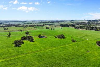 Farmlet For Sale - NSW - Taralga - 2580 - Small farm, ready to stock!  (Image 2)