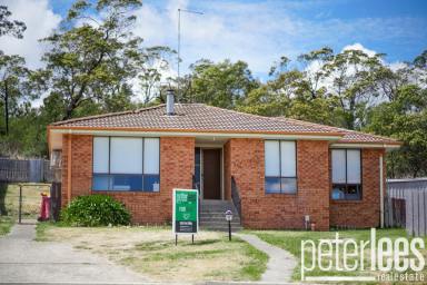 House Sold - TAS - Rocherlea - 7248 - Another Property SOLD SMART by Peter Lees Real Estate  (Image 2)