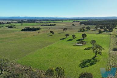 Lifestyle Sold - VIC - Lindenow South - 3875 - PRIME GRAZING PROPERTY  (Image 2)