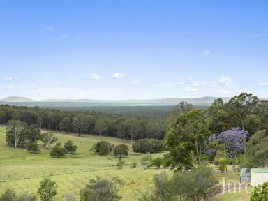 Lifestyle Sold - NSW - Mount View - 2325 - MONTANA – LUXURIOUS HUNTER VALLEY RESIDENCE  (Image 2)