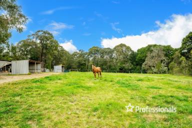 House Sold - VIC - Launching Place - 3139 - HOBBY FARM HAVEN  (Image 2)