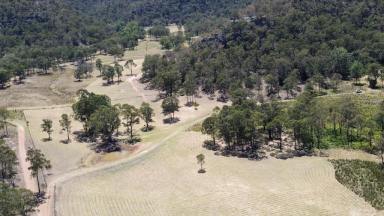 Residential Block For Sale - nsw - Sandy Hollow - 2333 - Cabin on 40 Acres  (Image 2)