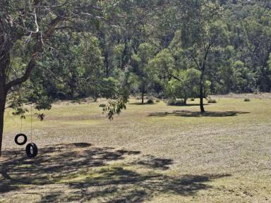 Residential Block For Sale - nsw - Sandy Hollow - 2333 - Cabin on 40 Acres  (Image 2)