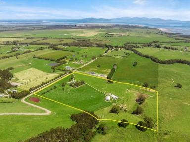 House For Sale - VIC - Agnes - 3962 - Productive land, period home, Prom views  (Image 2)