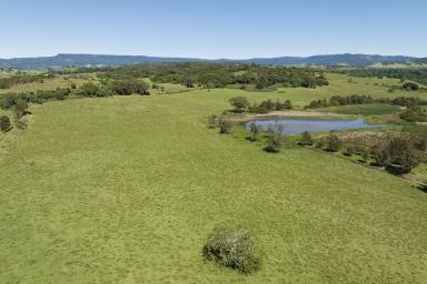 Other (Rural) For Sale - NSW - Dunmore - 2529 - Coastal & Country Escape - Deceased Estate Sale  (Image 2)