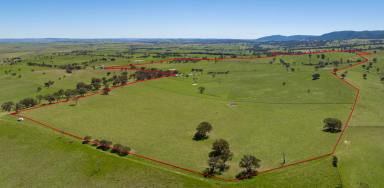 Other (Rural) For Sale - NSW - Bathurst - 2795 - “Don Lee” Brewongle
-
437 acres*  (Image 2)