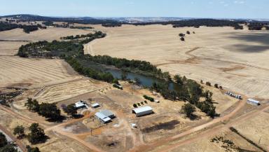 Cropping For Sale - WA - Toodyay - 6566 - Mixed Farming Opportunity  (Image 2)