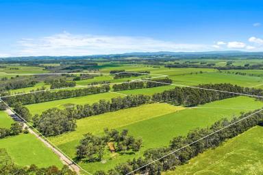 Mixed Farming For Sale - VIC - Darnum - 3822 - 151 acre & 90 acre Grazing 2 Parcels - Selling Individually  (Image 2)
