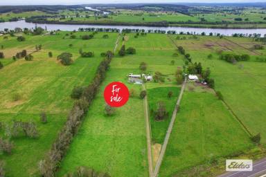 Lifestyle Sold - NSW - Jones Island - 2430 - IF A RURAL LIFESTYLE ON THE COAST APPEALS  (Image 2)