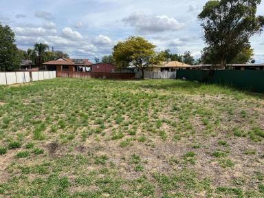 Residential Block For Sale - NSW - Moree - 2400 - Large Building Block!  (Image 2)