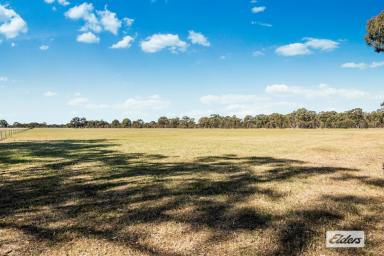 Other (Rural) For Sale - VIC - Kurting - 3517 - Lifestyle and Recreation  (Image 2)
