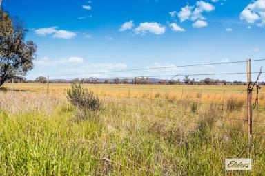 Other (Rural) For Sale - VIC - Kurting - 3517 - 154 Ac for Cropping or Grazing  (Image 2)