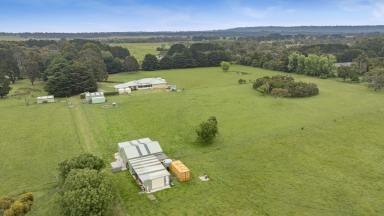 Acreage/Semi-rural For Sale - VIC - Moorooduc - 3933 - Spacious Family Home On 20 Blissful Acres  (Image 2)