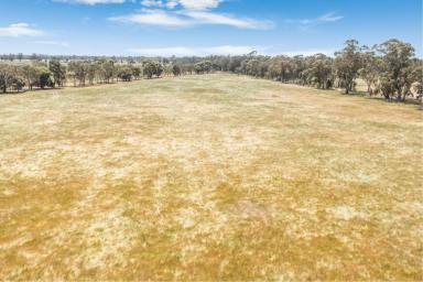 Lifestyle For Sale - VIC - Goornong - 3557 - Exclusive rural land release- outskirts of Bendigo  (Image 2)