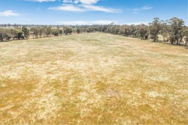 Lifestyle Sold - VIC - Goornong - 3557 - Exclusive rural land release- outskirts of Bendigo  (Image 2)