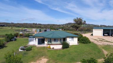 House For Sale - NSW - Inverell - 2360 - Peaceful Retreat Living on Acreage  (Image 2)