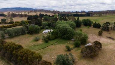 Other (Rural) For Sale - NSW - Countegany - 2630 - COUNTEGANY STATION  (Image 2)