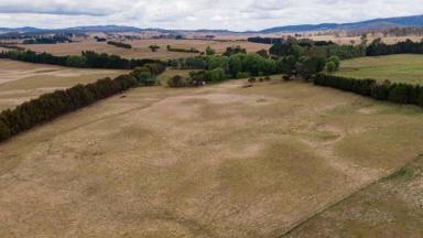 Other (Rural) For Sale - NSW - Countegany - 2630 - COUNTEGANY STATION  (Image 2)