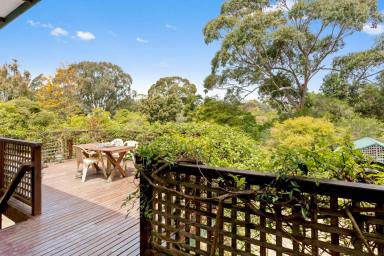 House Sold - VIC - Somers - 3927 - Classic Beach House On 1/3 Acre 850m To Shore  (Image 2)