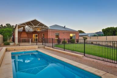 House Sold - NSW - Gol Gol - 2738 - ENDLESS FEATURES, EXCELLENT LOCATION  (Image 2)