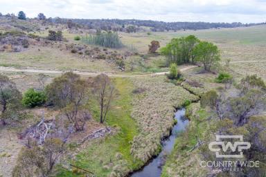 Lifestyle Sold - NSW - Glen Innes - 2370 - Secluded Lifestyle Oasis  (Image 2)