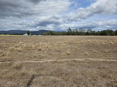 Lifestyle For Sale - QLD - Upper Stone - 4850 - 2.023 HECTARES (OVER 4.9 ACRES) WEST OF INGHAM!  (Image 2)