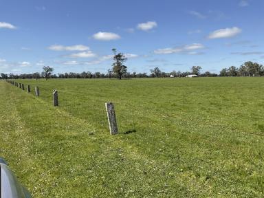Mixed Farming For Sale - VIC - Apsley - 3319 - 375 RIPLEY PARK RD APSLEY, VIC  (Image 2)