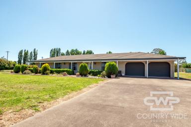 Acreage/Semi-rural Sold - NSW - Glen Innes - 2370 - 3 Acres with Comfortable Brick Home  (Image 2)