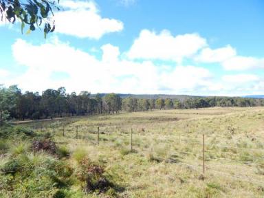 Other (Rural) For Sale - NSW - Countegany - 2630 - 110 Acres – 100% Bushland  (Image 2)