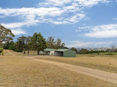 House Leased - NSW - Canyonleigh - 2577 - Escape to the Peace & Serenity of Bowylie Cottage  (Image 2)