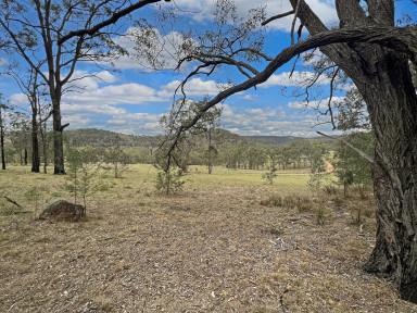 Lifestyle For Sale - NSW - Howes Valley - 2330 - Peaceful Rural Hideaway - 'Weekender Retreat'  (Image 2)