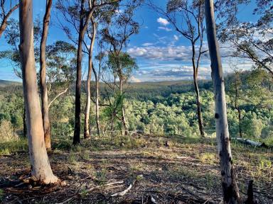 Lifestyle For Sale - NSW - Howes Valley - 2330 - Peaceful Rural Hideaway - 'Weekender Retreat'  (Image 2)