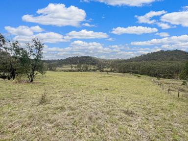 Lifestyle For Sale - NSW - Howes Valley - 2330 - Peaceful Rural Hideaway - 'Weekender Retreat'  (Image 2)