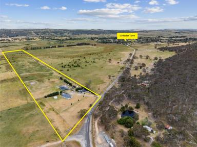 Lifestyle For Sale - NSW - Collector - 2581 - The Rural Lifestyle At Its Best !  (Image 2)