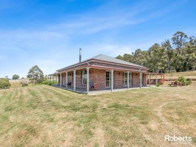 House For Sale - TAS - Hillwood - 7252 - Delightful Country Lifestyle on 8.33 acres  (Image 2)