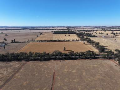Lifestyle For Sale - NSW - Temora - 2666 - Rural Block For Sale With Building Entitlement 5.5km From Temora CBD  (Image 2)