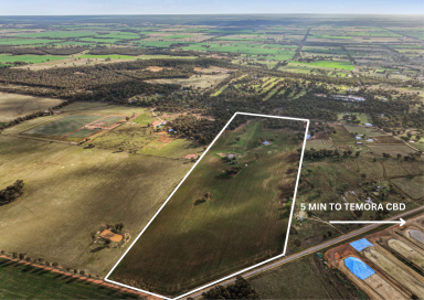 Lifestyle For Sale - NSW - Temora - 2666 - 84ac - DWELLING ENTITLEMENT - 3.6km FROM CBD - TOWN WATER CONNECTED  (Image 2)