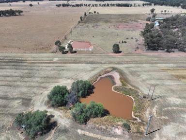 Lifestyle For Sale - NSW - Temora - 2666 - Lifestyle Opportunity On The Edge Of Temora  (Image 2)