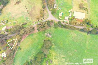 Other (Rural) For Sale - VIC - Willung South - 3847 - High in the hills  (Image 2)