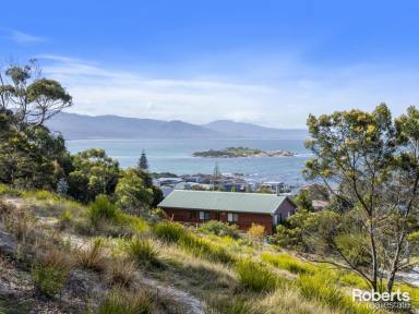 Residential Block For Sale - TAS - Bicheno - 7215 - Views, Views, Views!  (Image 2)