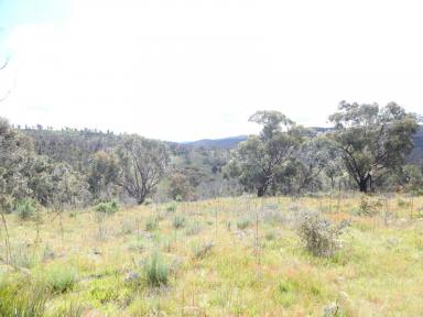 Lifestyle Sold - NSW - Peak View - 2630 - 1265 Acres – 2 Cabins – Good Good Road  (Image 2)