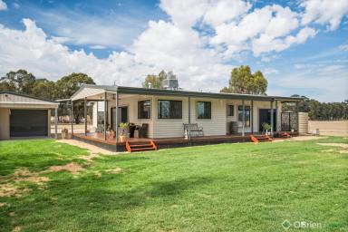 Acreage/Semi-rural For Sale - VIC - Peechelba - 3678 - Escape to the Country: Fully Renovated Family Home on 70 Acres (approx)  (Image 2)