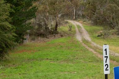 Other (Rural) Sold - NSW - Cooma - 2630 - 215.5 Acres – New Shed – Excellent Privacy  (Image 2)