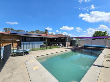House For Sale - nsw - Muswellbrook - 2333 - Solid Brick & Tile with a Pool  (Image 2)
