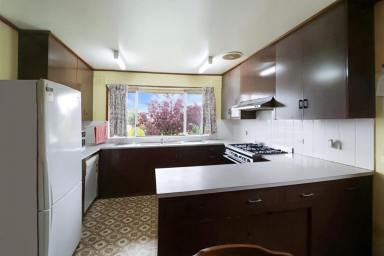 House For Lease - NSW - Glen Innes - 2370 - FAMILY HOME IN GREAT LOCATION  (Image 2)