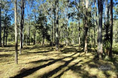 Residential Block Sold - QLD - Bauple - 4650 - FORESTRY TO THE BACK!  (Image 2)