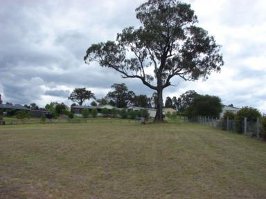 Residential Block Sold - NSW - Muswellbrook - 2333 - A LARGE RURAL RESIDENTIAL VACANT LAND LOT READY TO BUILD IN THE EVER POPULAR IRONBARK RIDGE ESTATE
5,293 SQM  (Image 2)