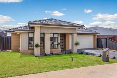 House Sold - VIC - Huntly - 3551 - Brand-New Family Home  (Image 2)